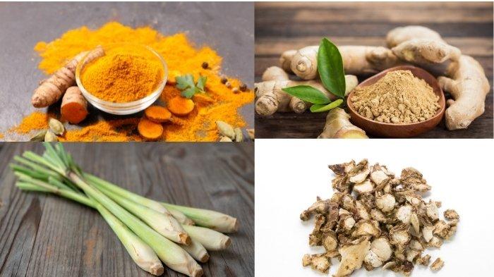 Manfaat Jahe, Kunyit, dan Temulawak: Tanaman Obat Alami untuk Kesehatan Sehari-hari